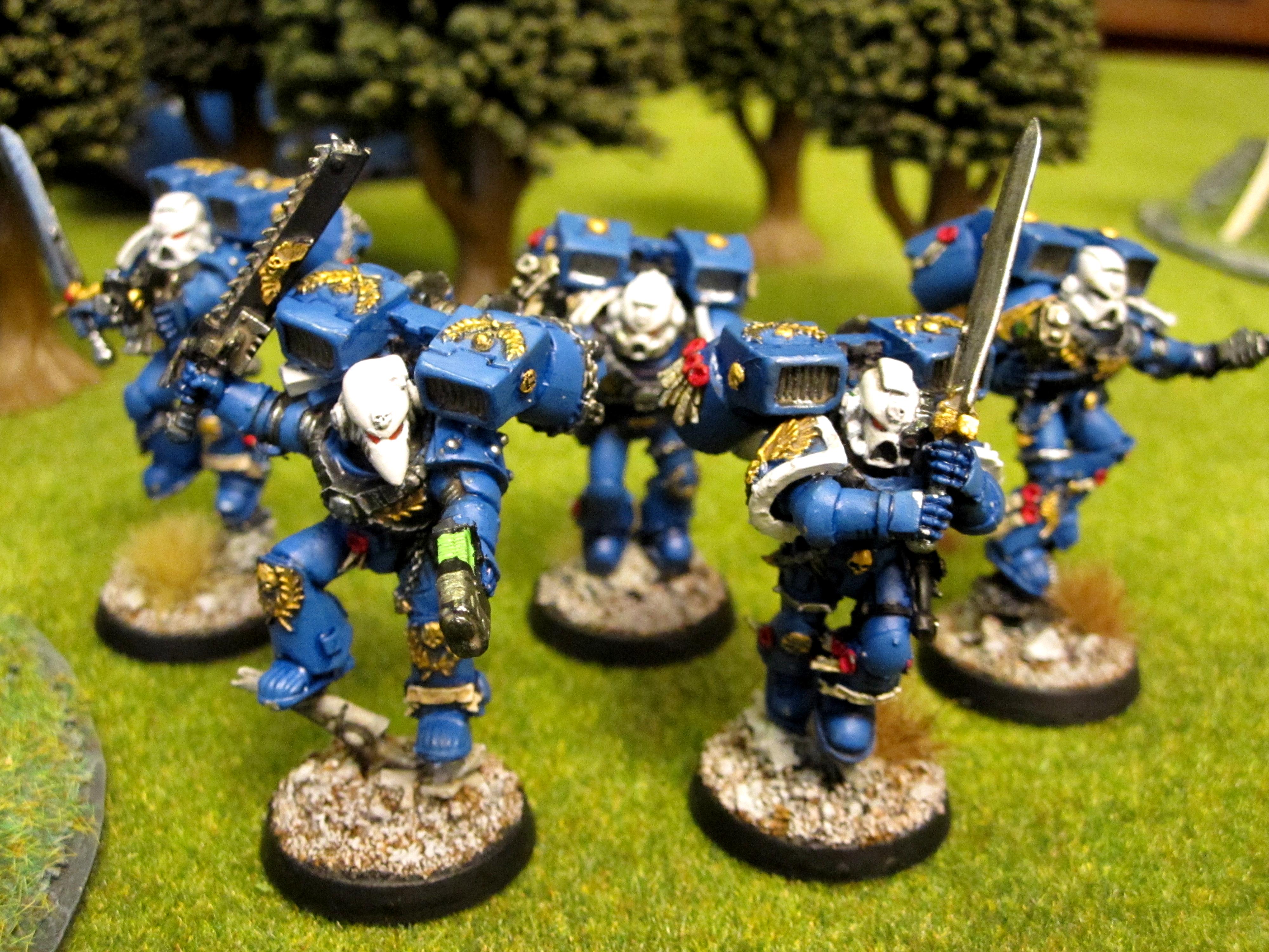 Elites, Pro Painted, Space Marines, Ultramarines, Vanguard, Veteran 